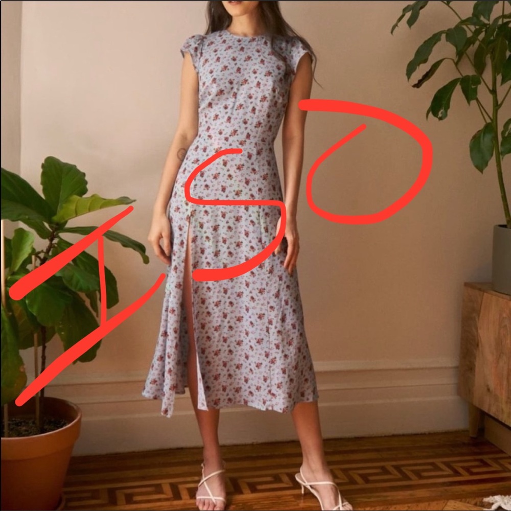 ISO reformation “Gavin” in petunia